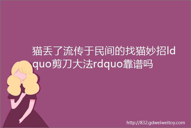 猫丢了流传于民间的找猫妙招ldquo剪刀大法rdquo靠谱吗