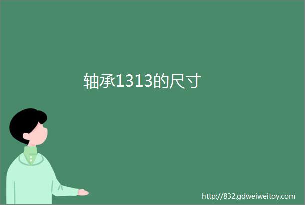 轴承1313的尺寸